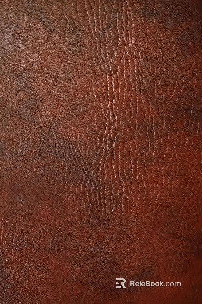 Coarse-grain leather texture