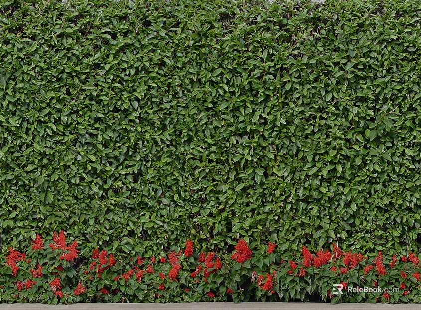Shrubs texture