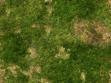 Turf texture (ID:ffajg60874)
