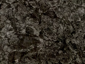 bark texture (ID:ffajg43883)