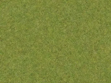Turf texture (ID:ffaeg95440)