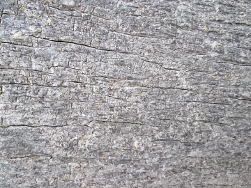Rock Grey Rock texture (ID:ffaag64407)