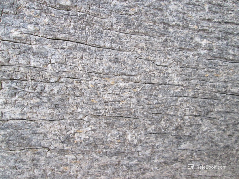 Rock Grey Rock texture