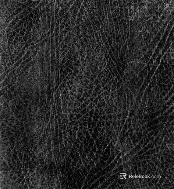 Coarse-grain leather texture