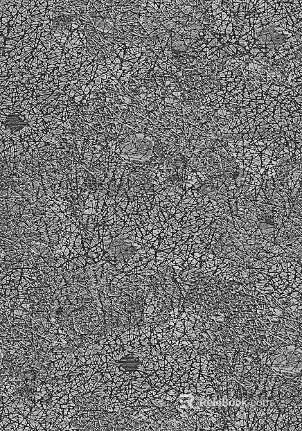Highlight Mask texture