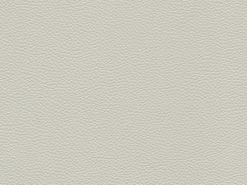 Coarse-grain leather texture (ID:ffagg89688)