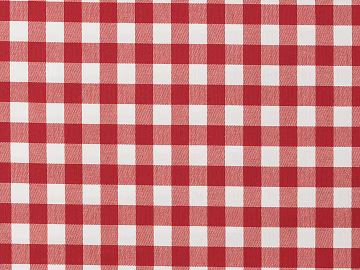 Plaid 3d model