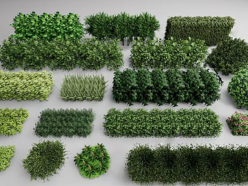 Green shrub hedge landscape texture (ID:ffaeh678536)