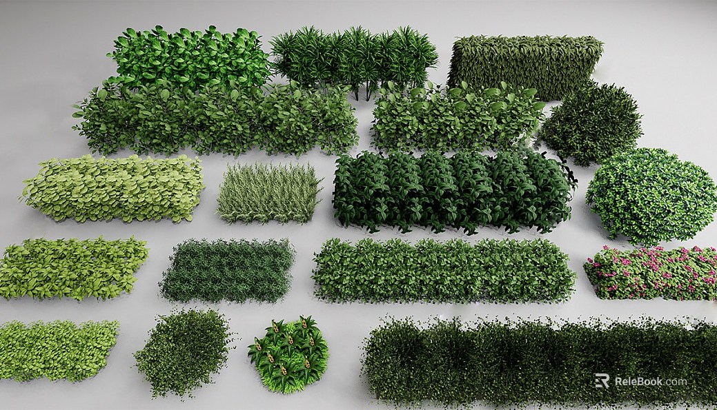 Green shrub hedge landscape texture