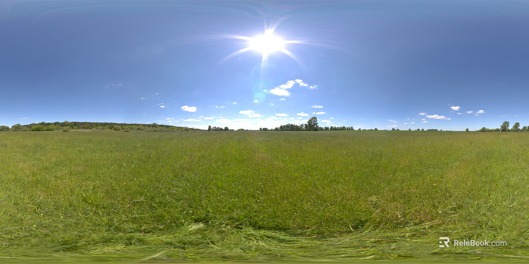 Outdoor Lawn Grass Sunny Day HDR texture