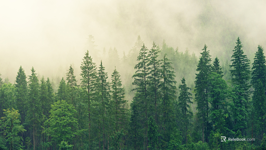 Forest texture