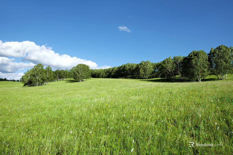Wild Scenery texture