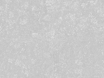 Cement texture (ID:ffabg90674)