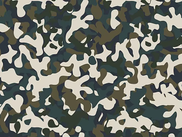 Camouflage texture (ID:ffajf8736)