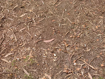 Ground 3d model