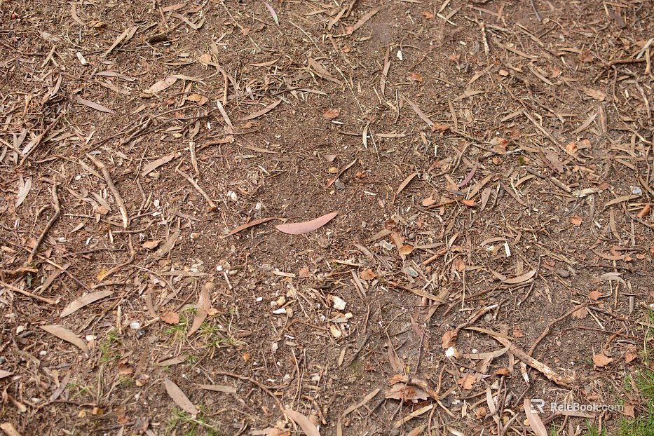 Ground texture
