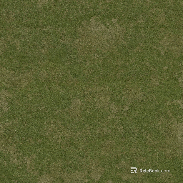 Grassland texture