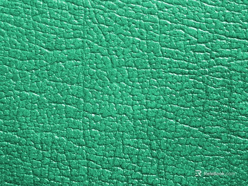 Paint texture