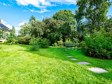 Wild Scenery texture (ID:ffach796710)