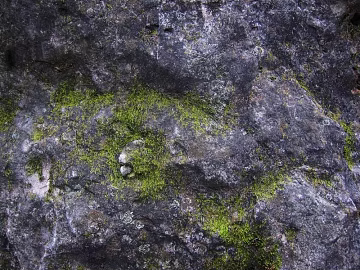 mountain rock wall texture (ID:ffajf4435)