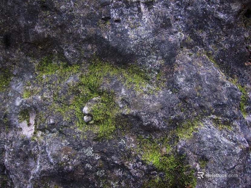mountain rock wall texture