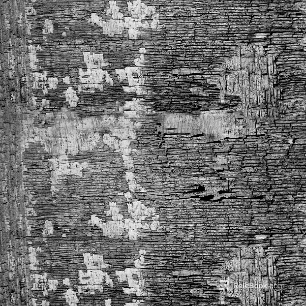 bark texture