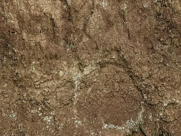 Mud ground texture (ID:ffaaf4045)