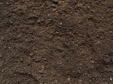 Mud texture (ID:ffaeg08059)