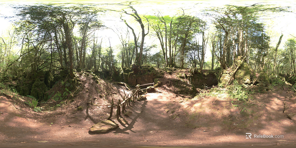 Wild Forest Daytime HDR texture