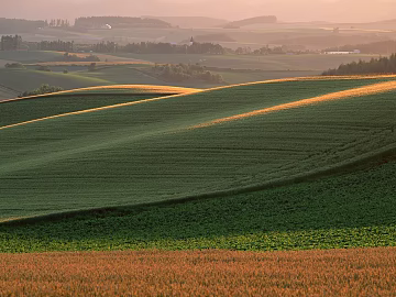 Wild Scenery texture (ID:ffaef5098)