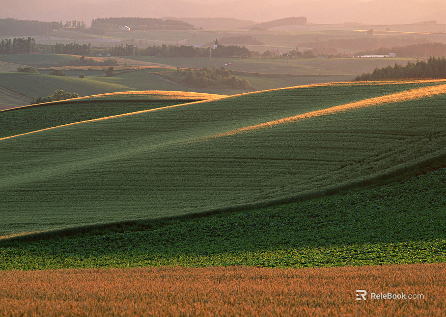 Wild Scenery texture