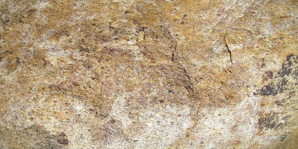 Yellow brown rock wall ground stone texture