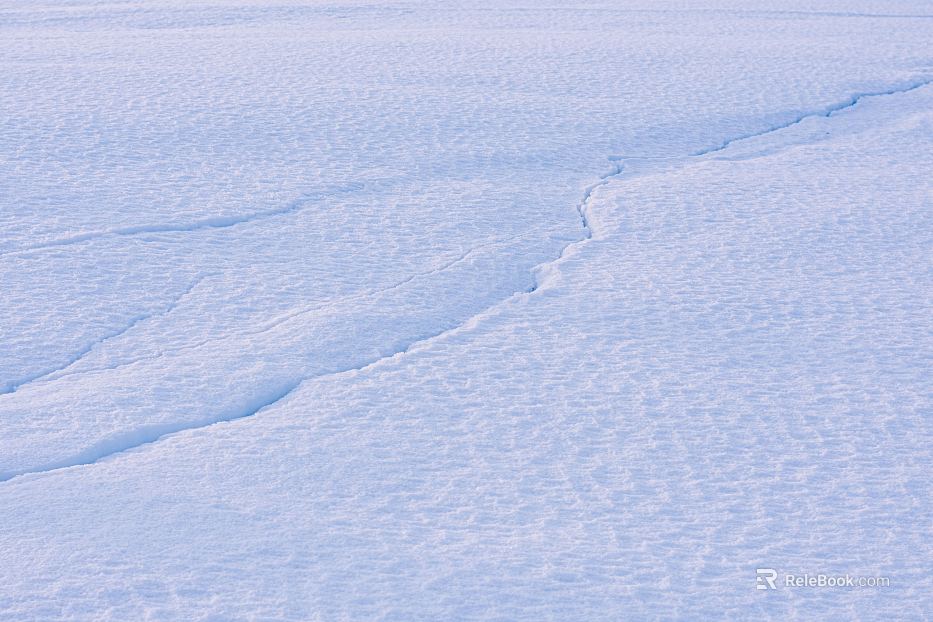 Snow texture