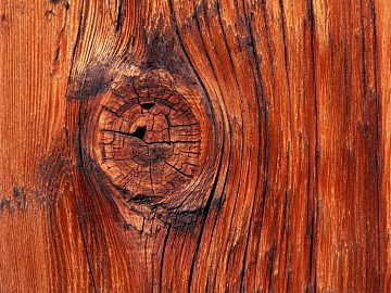 Wood grain texture (ID:ffaif6788)