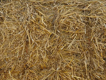 Thatch texture (ID:ffaag09741)