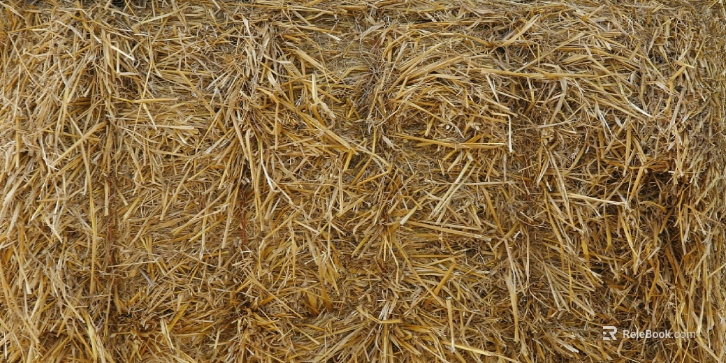 Thatch texture