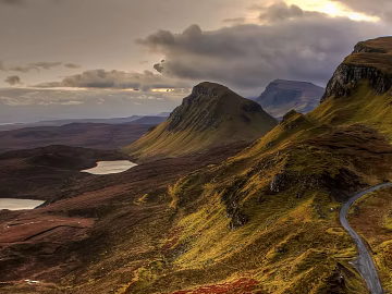 Wild Scenery texture (ID:ffaag57107)