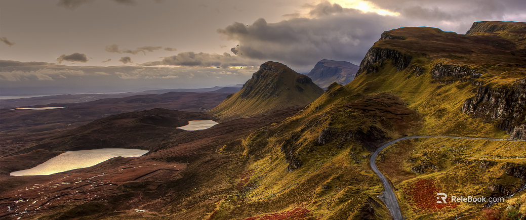 Wild Scenery texture