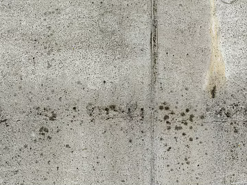 Cement texture (ID:ffaeg08836)