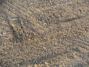 Mud 3d model