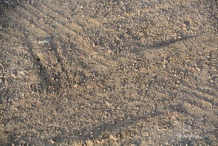 Mud texture