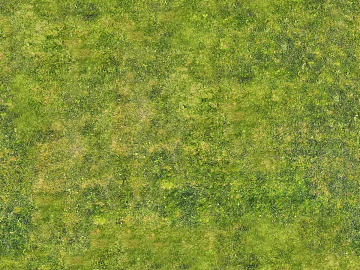 Realistic textured grassland, grassy slope, and green space—texture and grain. (ID:ffaeh545682)