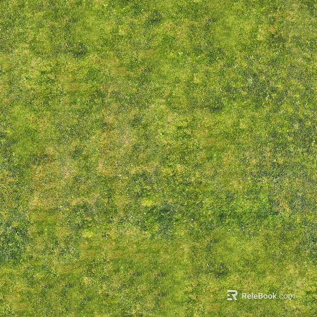 Realistic textured grassland, grassy slope, and green space—texture and grain. texture