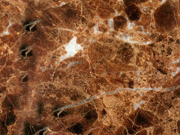 Deep brown reticulate texture (ID:ffacf1788)