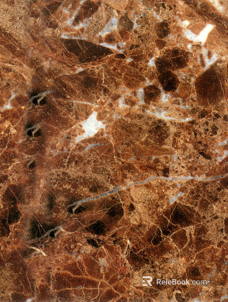 Deep brown reticulate texture