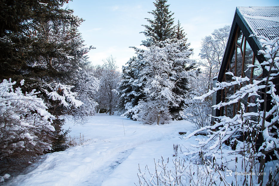Snow texture