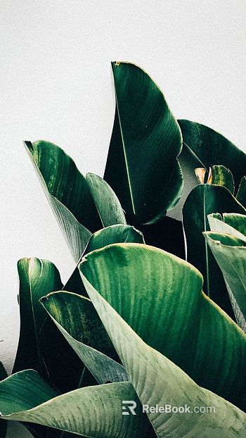 Plant painting texture