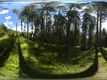 Outdoor Forest Sunny Day HDR texture (ID:ffabg54181)