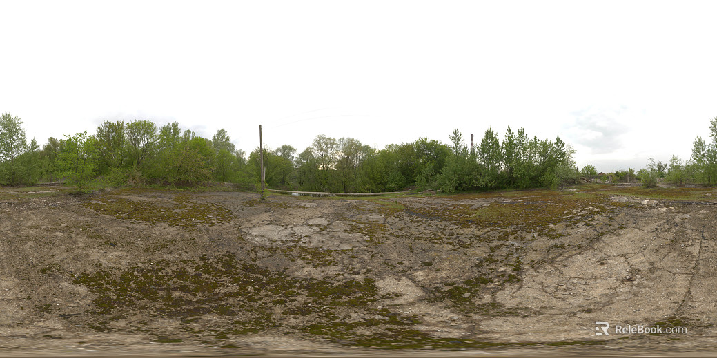 outdoor dilapidated road woods daytime hdr texture