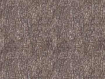 bark texture (ID:ffaag49840)